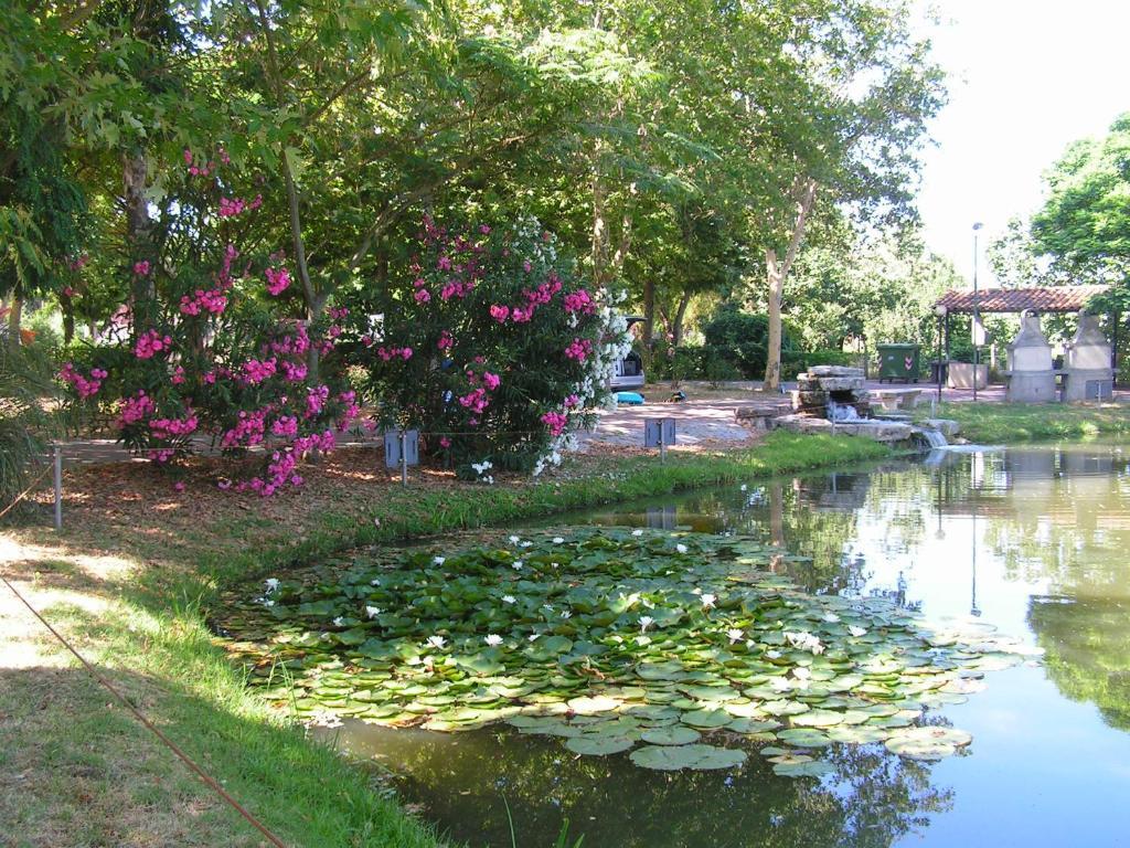 SantʼArcangelo Camping Villaggio Italgest מראה חיצוני תמונה