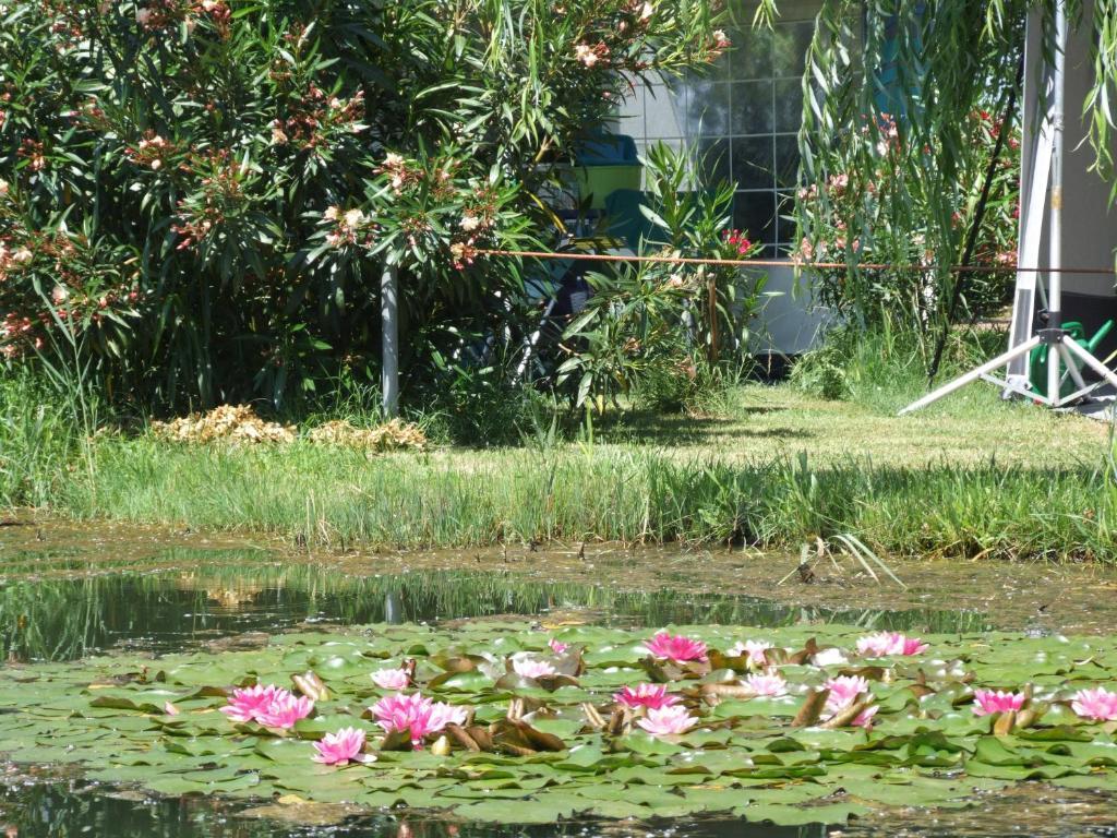 SantʼArcangelo Camping Villaggio Italgest מראה חיצוני תמונה